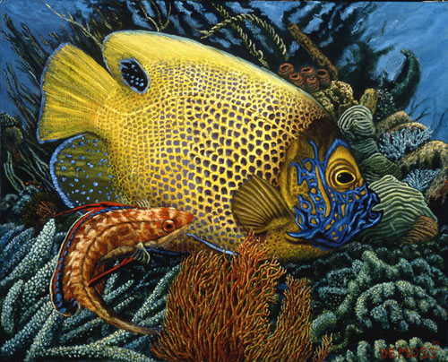 Mapfish jpg